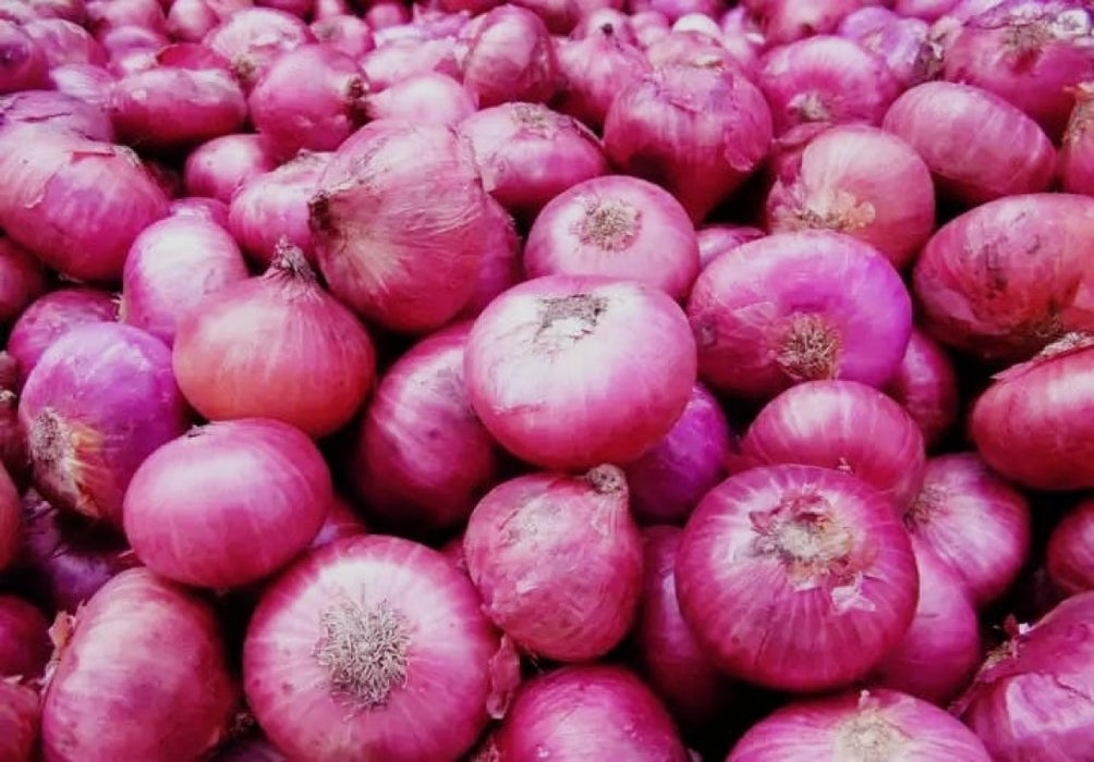 Rred Onions from Kenya