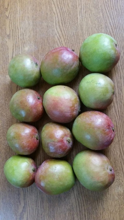 ngowe mangos from Kenya