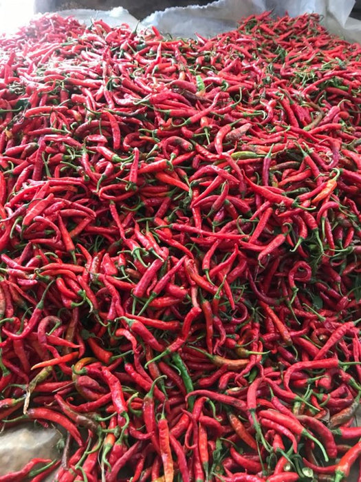 Long Cayenna Pepper from Kenya