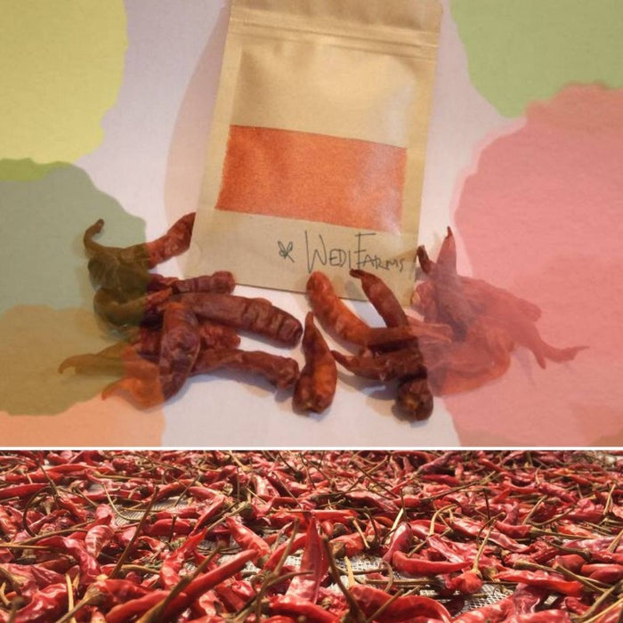 Dry Chilies from Kenya