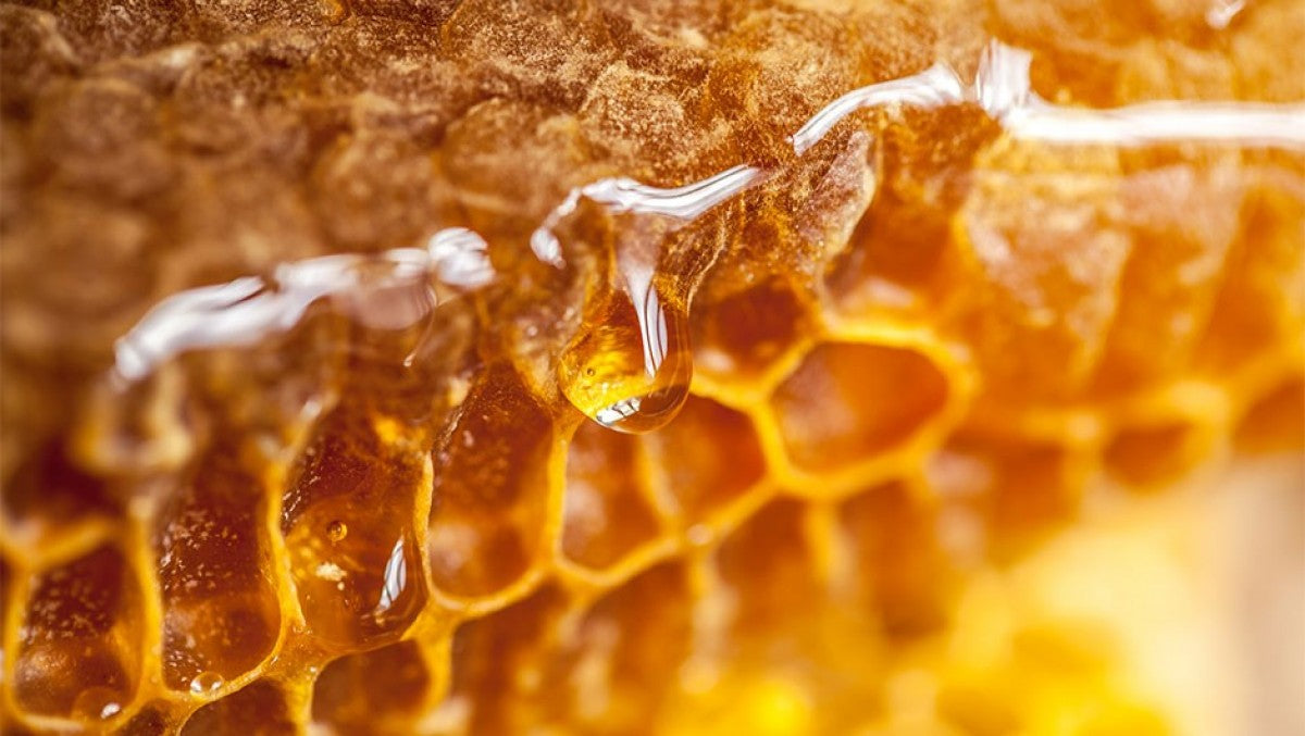 Organic Highland Honey from Kenya