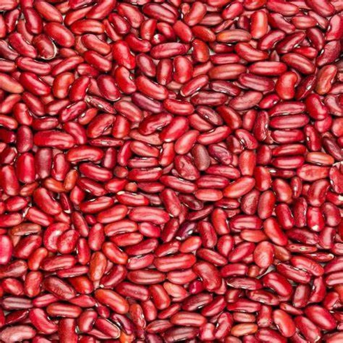 Red Kidney Beans from Malawi