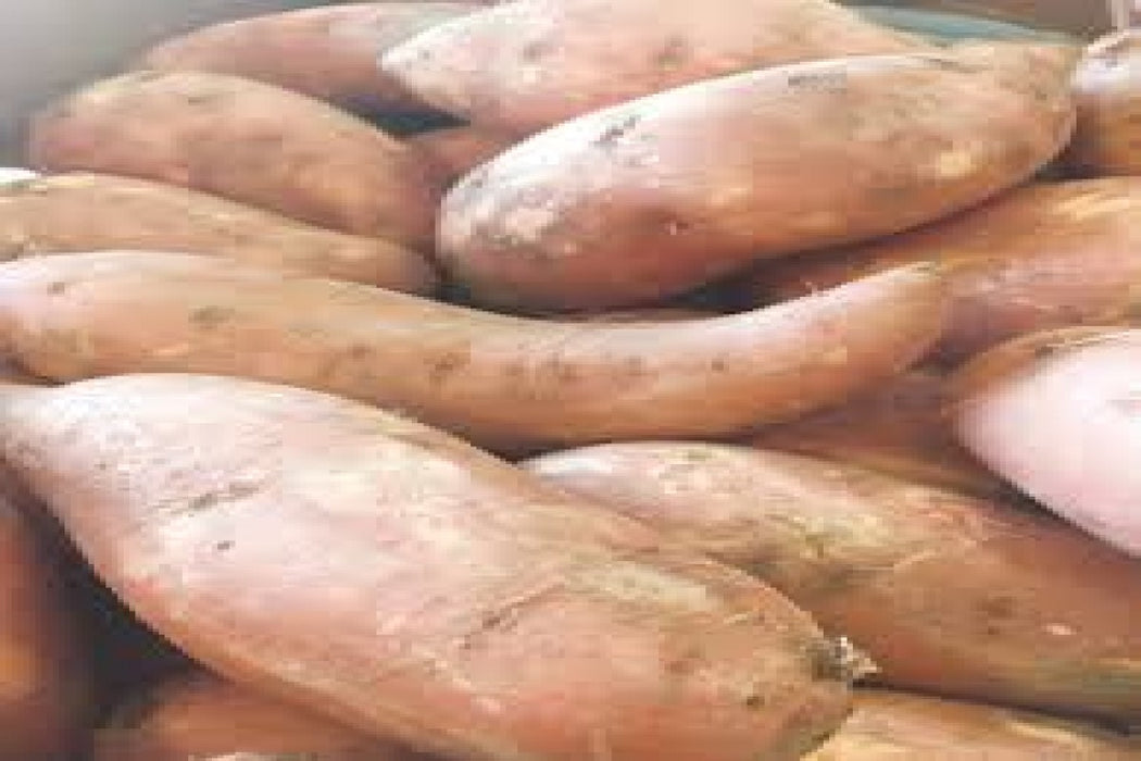 Sweet potatoes from Rwanda