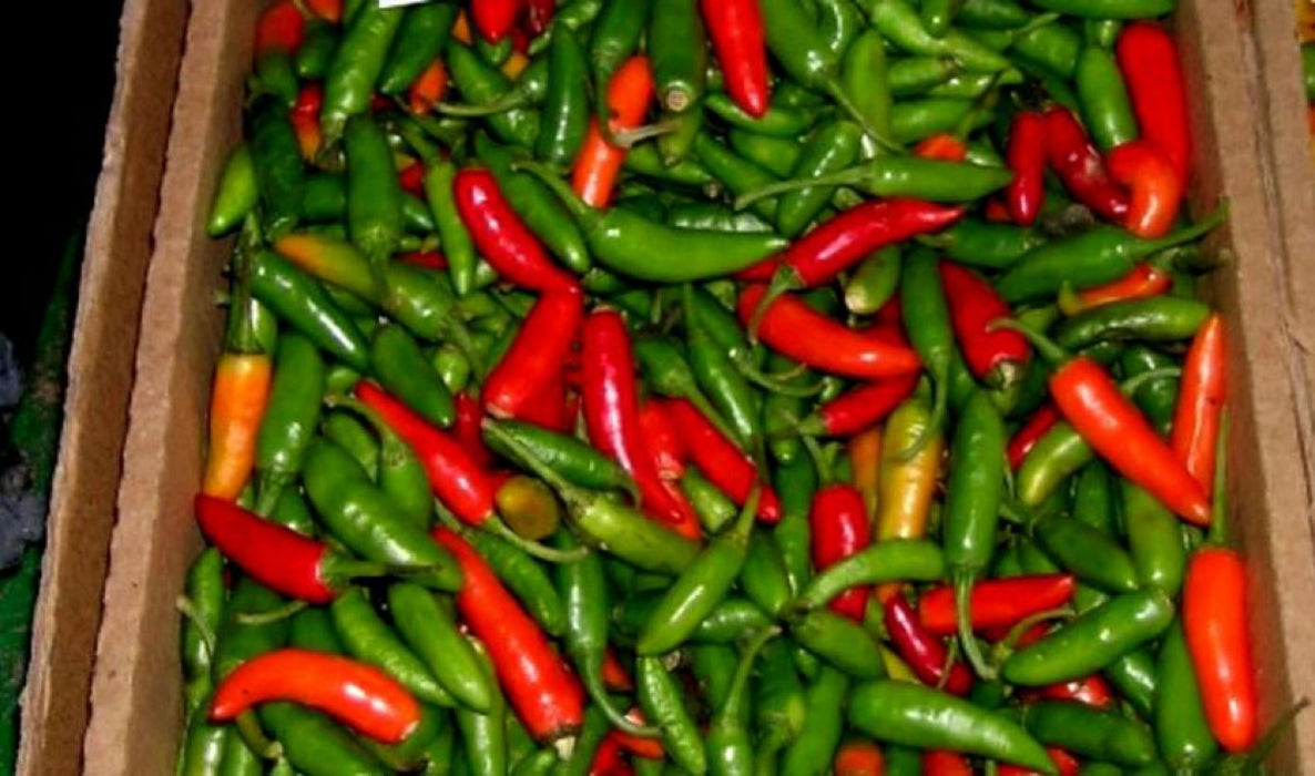 Green Chili from Rwanda