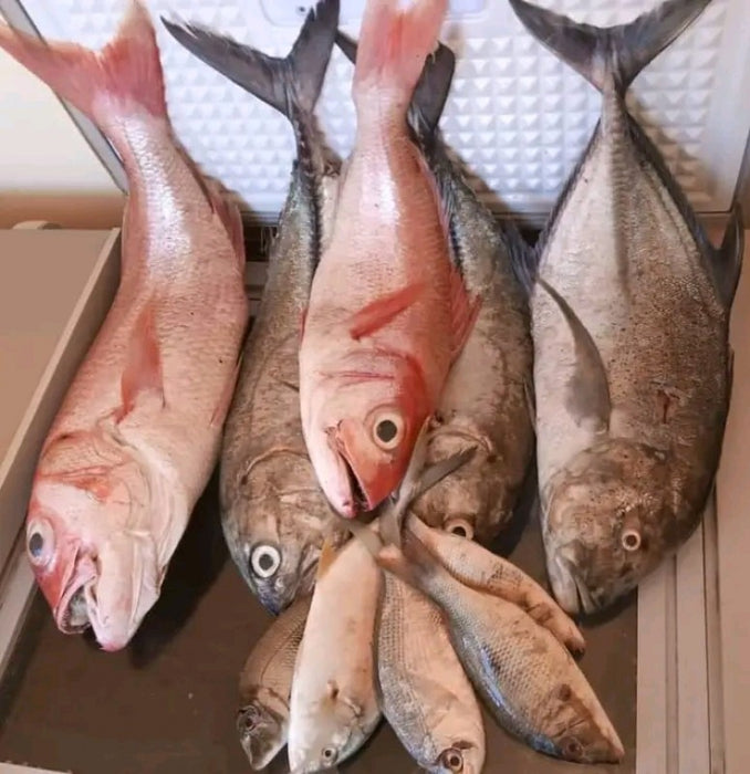 Fish dealer from Tanzania