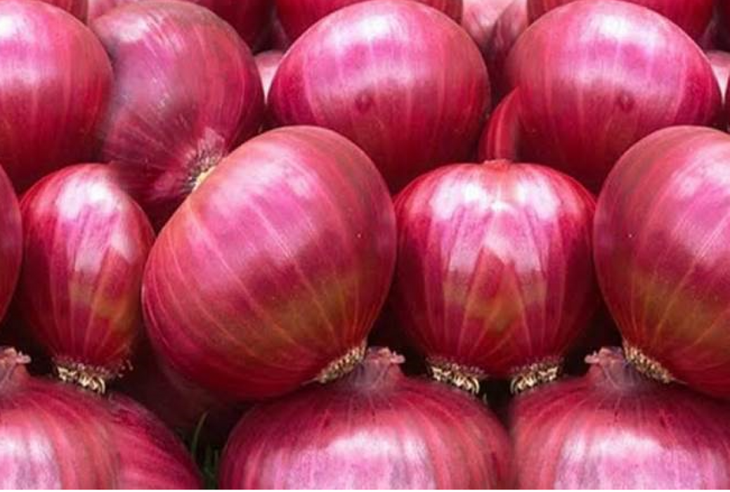 ONION BULBS(RED ONION) from Tanzania