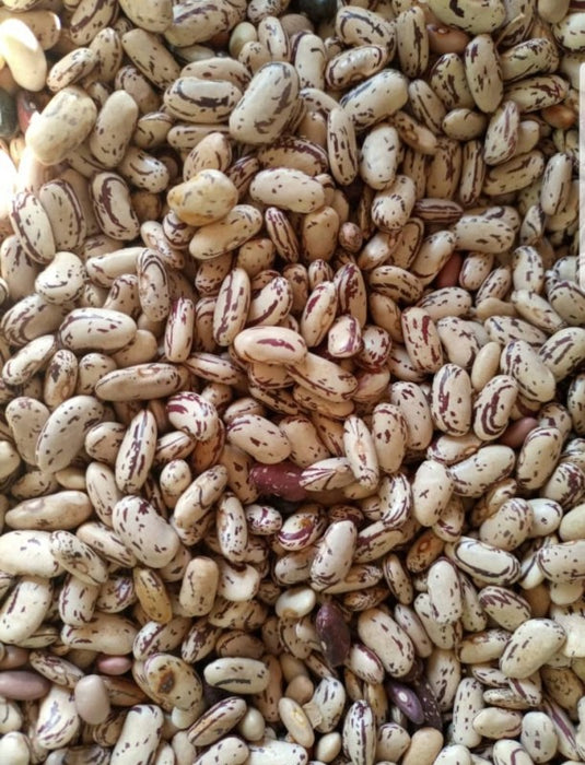 Sugar Beans from Tanzania