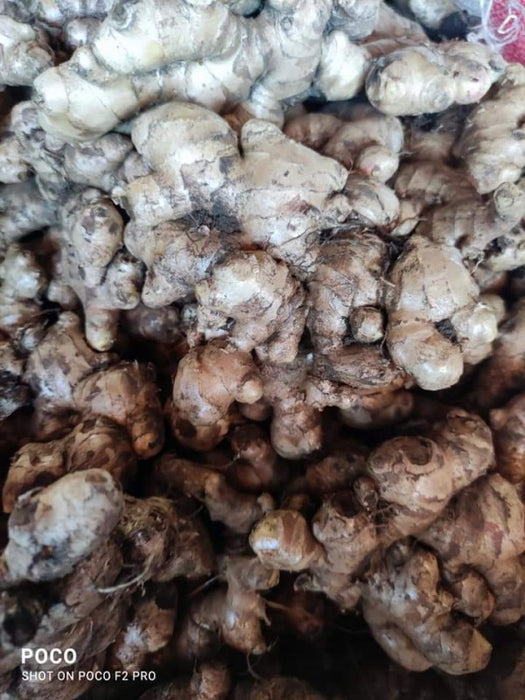 Fresh Ginger from Tanzania