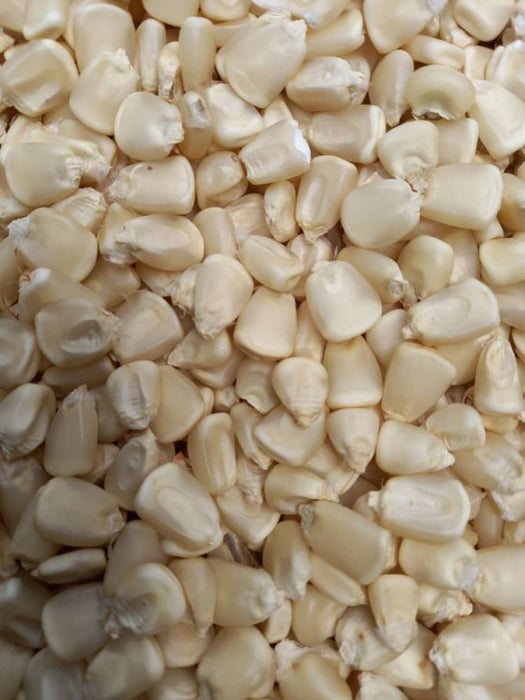 Maize from Tanzania