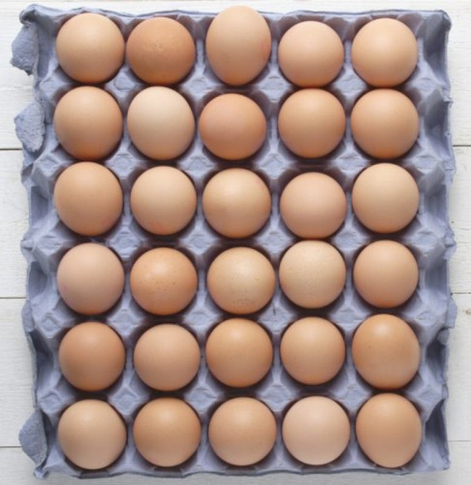 Eggs from Uganda