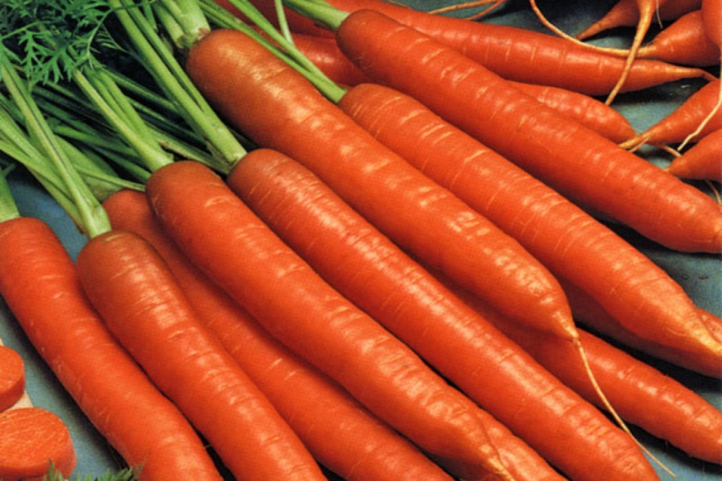 Carrots from Uganda