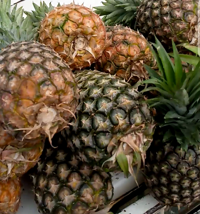 Pineapples from Uganda