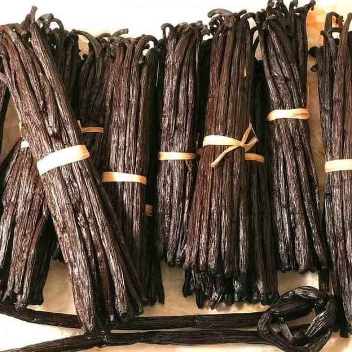 Uganda Cured Vanilla Beans from Uganda