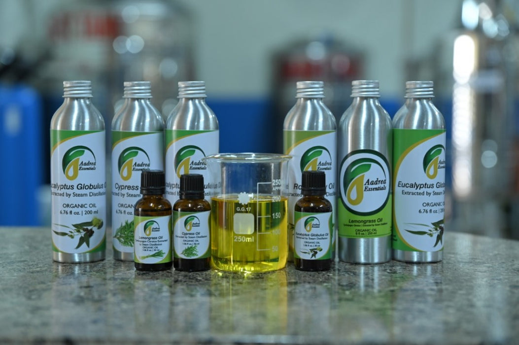 Rosemary Essential Oil from Uganda