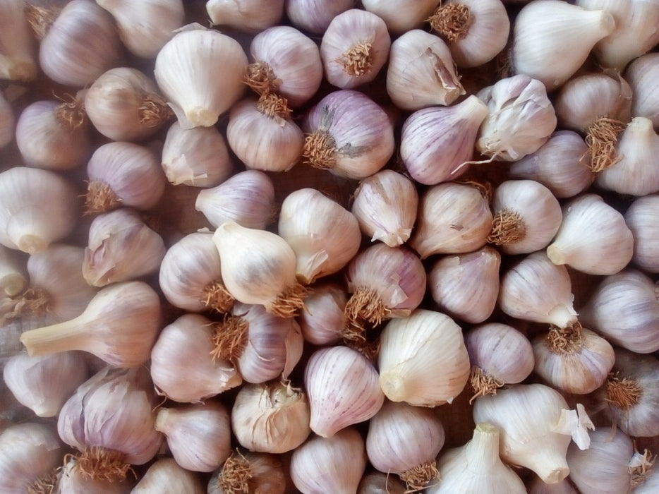 Garlic from Zimbabwe